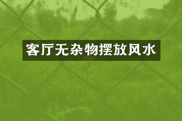 客厅无杂物摆放风水