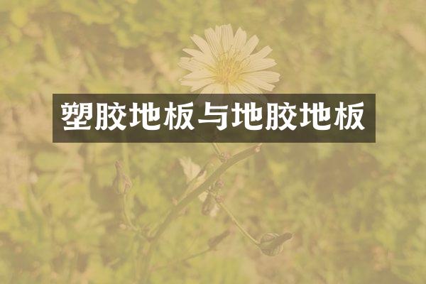 塑胶地板与地胶地板