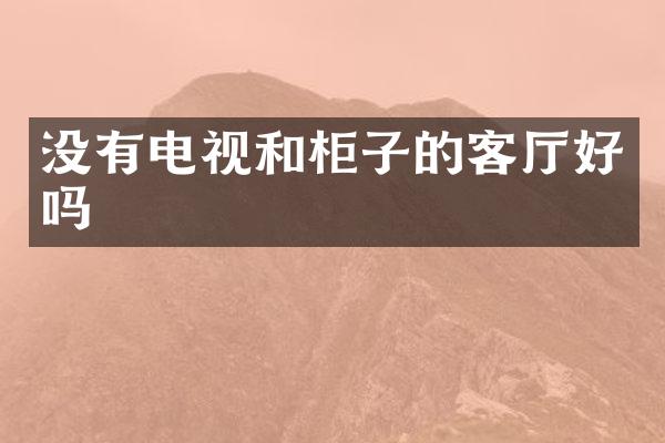 没有电视和柜子的客厅好吗
