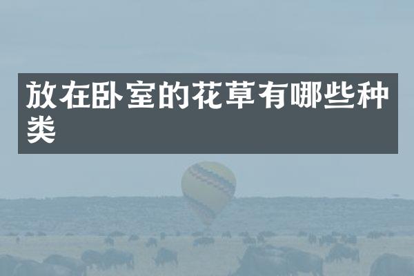 放在卧室的花草有哪些种类