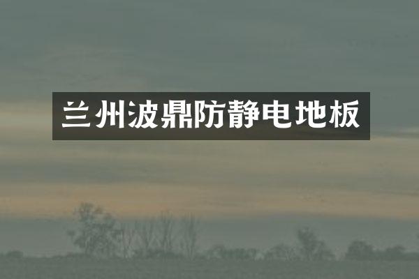 兰州波鼎防静电地板