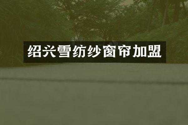 绍兴雪纺纱窗帘加盟