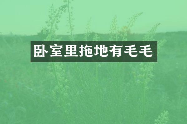 卧室里拖地有毛毛