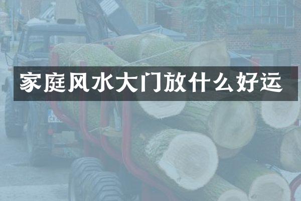 家庭风水大门放什么好运