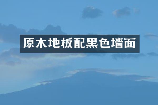 原木地板配黑色墙面