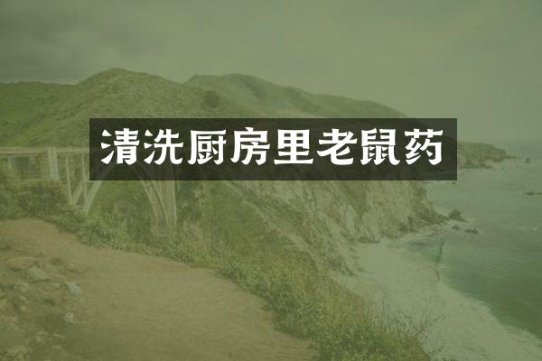 清洗厨房里老鼠药