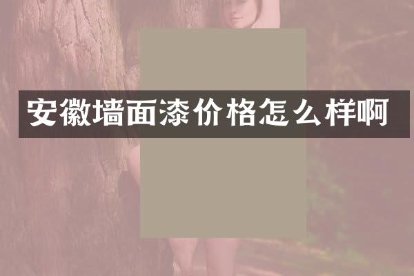 安徽墙面漆价格怎么样啊