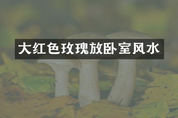 大红色玫瑰放卧室风水