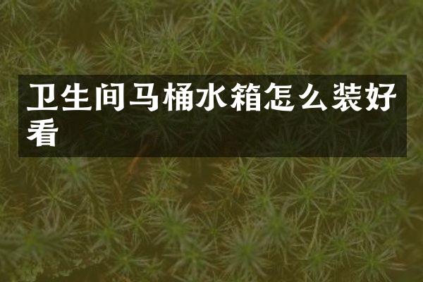 卫生间马桶水箱怎么装好看