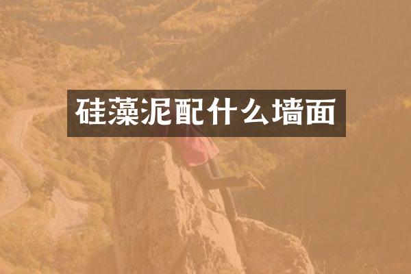 硅藻泥配什么墙面