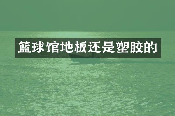 篮球馆地板还是塑胶的