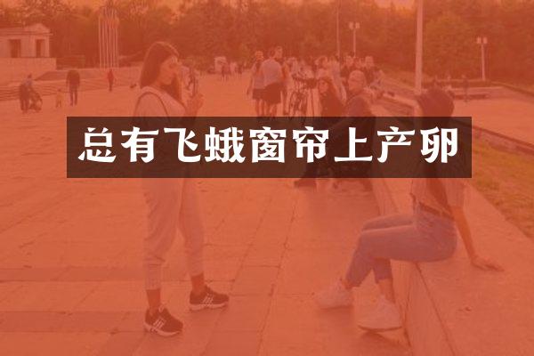 总有飞蛾窗帘上产卵