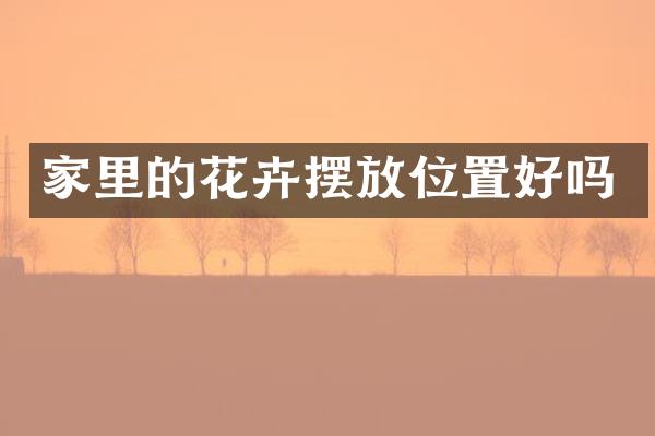 家里的花卉摆放位置好吗
