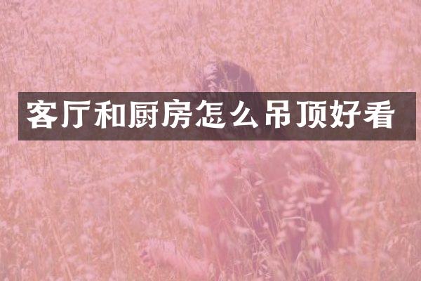 客厅和厨房怎么吊顶好看