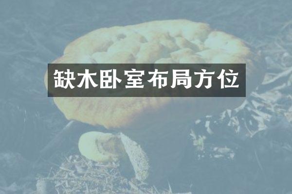 缺木卧室布局方位