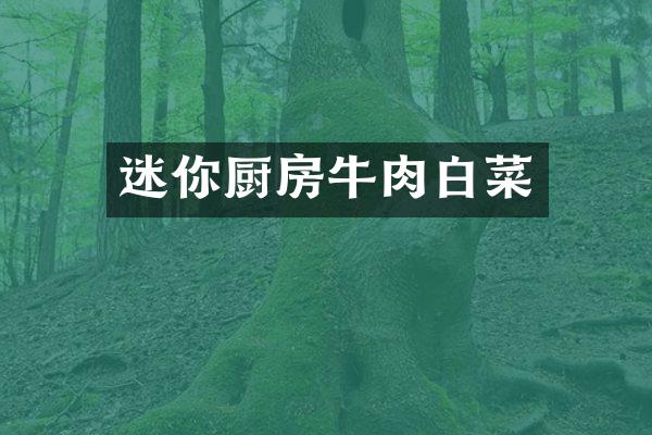迷你厨房牛肉白菜