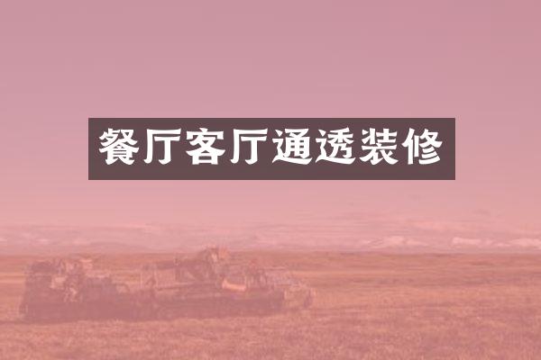 餐厅客厅通透装修