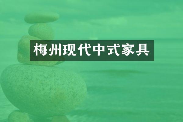 梅州现代中式家具