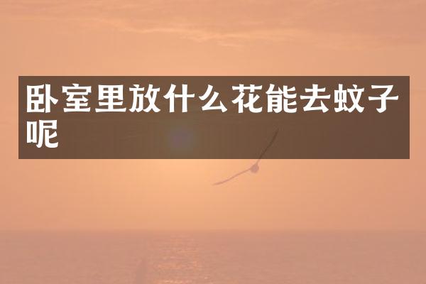 卧室里放什么花能去蚊子呢