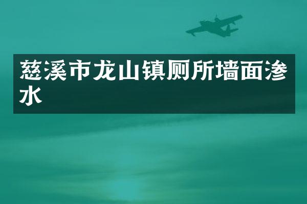 慈溪市龙山镇厕所墙面渗水