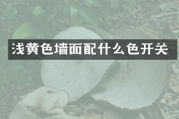 浅黄色墙面配什么色开关