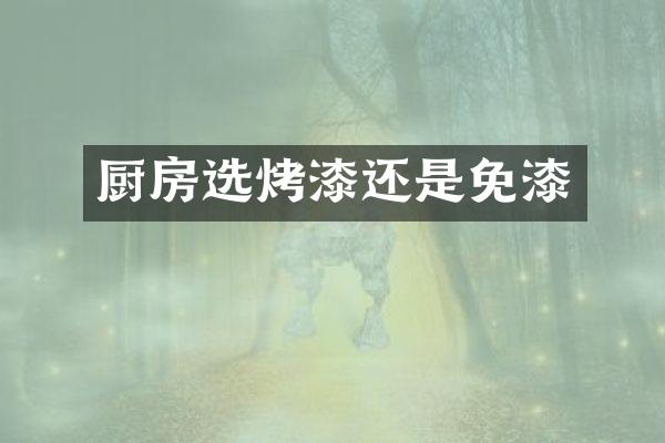 厨房选烤漆还是免漆