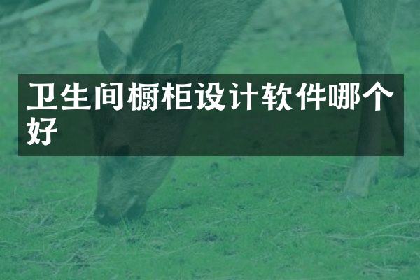 卫生间橱柜设计软件哪个好