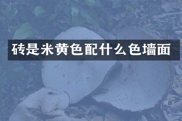 砖是米黄色配什么色墙面