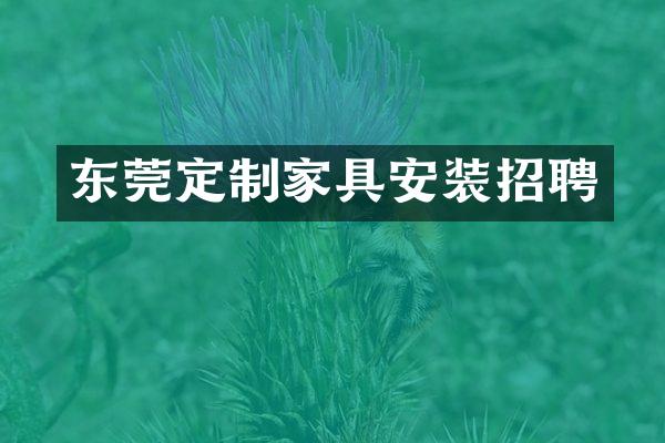 东莞定制家具安装招聘