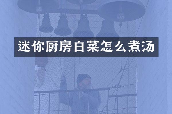 迷你厨房白菜怎么煮汤