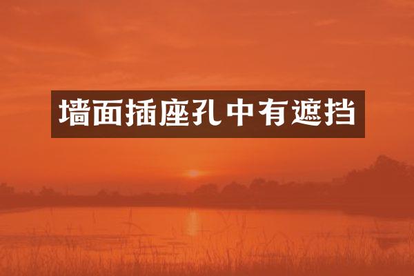 墙面插座孔中有遮挡