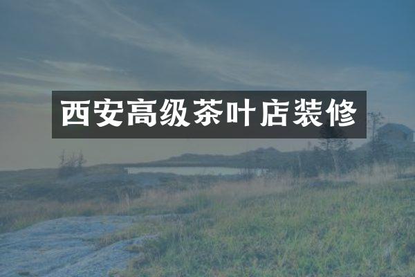 西安高级茶叶店装修