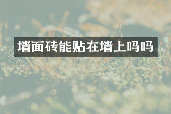 墙面砖能贴在墙上吗吗