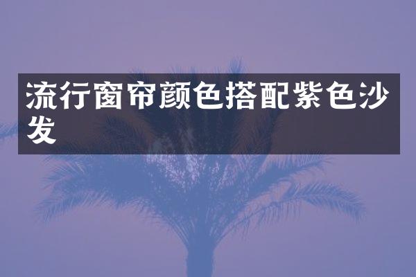 流行窗帘颜色搭配紫色沙发