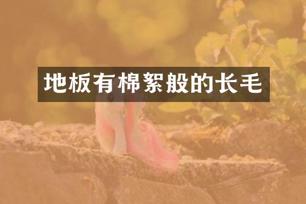 地板有棉絮般的长毛