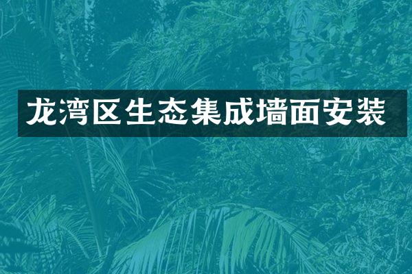 龙湾区生态集成墙面安装