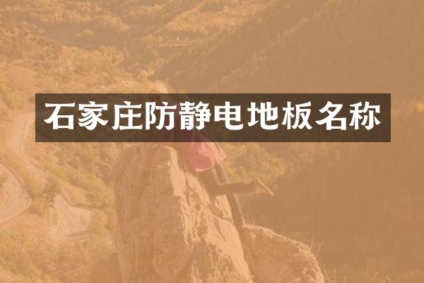 石家庄防静电地板名称
