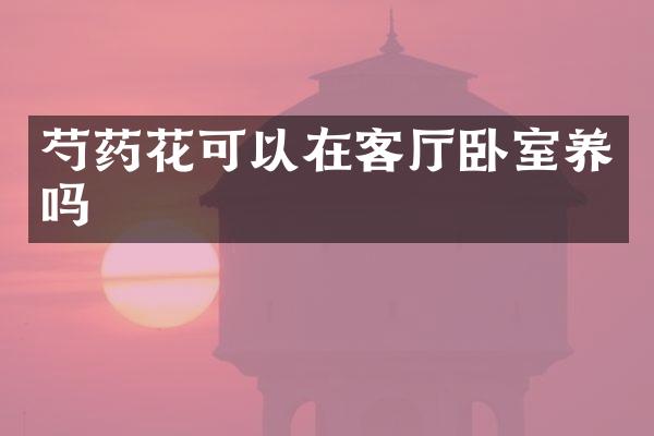 芍药花可以在客厅卧室养吗