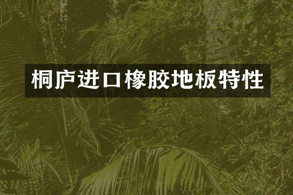 桐庐进口橡胶地板特性