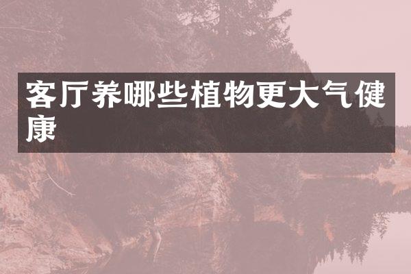 客厅养哪些植物更大气健康