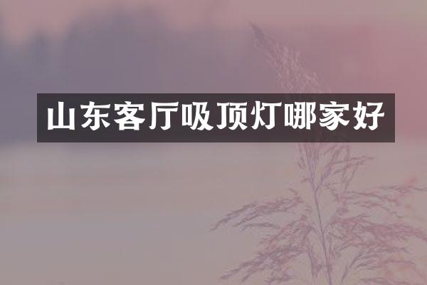 山东客厅吸顶灯哪家好