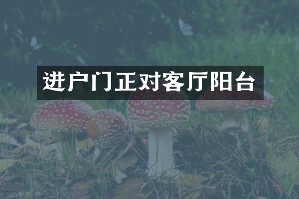 进户门正对客厅阳台