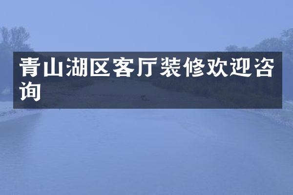 青山湖区客厅装修欢迎咨询