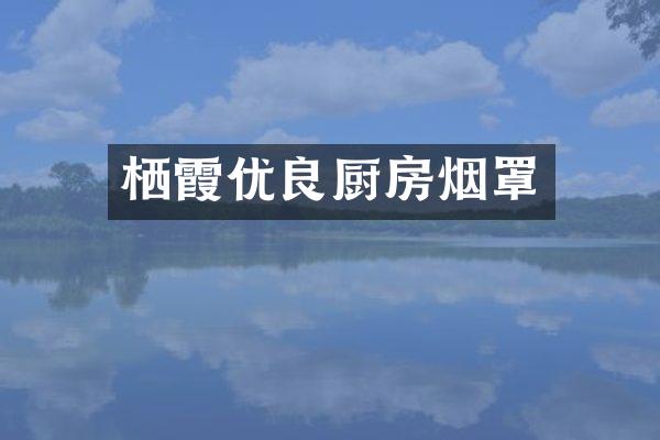 栖霞优良厨房烟罩