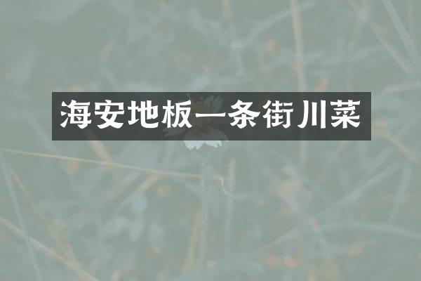 海安地板一条街川菜