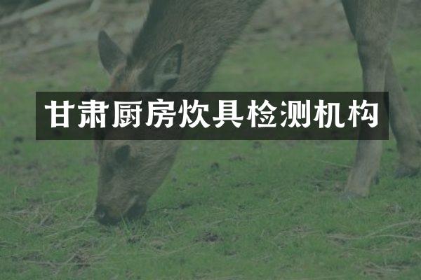 甘肃厨房炊具检测机构