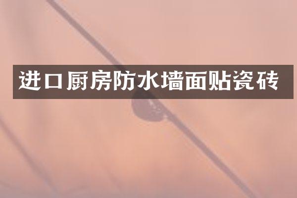 进口厨房防水墙面贴瓷砖