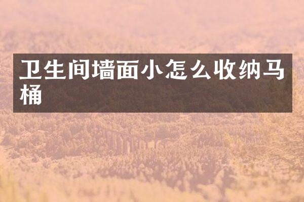 卫生间墙面小怎么收纳马桶