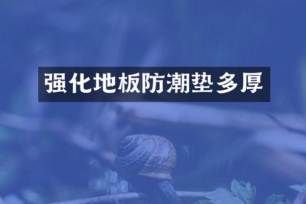强化地板防潮垫多厚