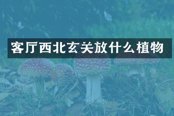 客厅西北玄关放什么植物
